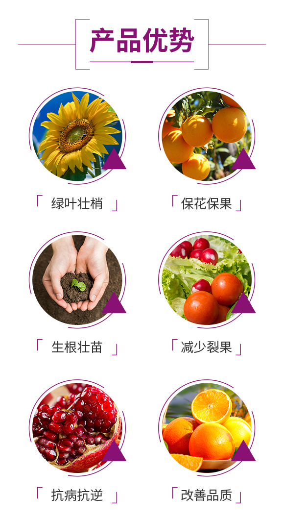 娌沖崡鍔犺胺娌冨啘涓氱鎶鏈夐檺鍏徃_03.jpg 娌沖崡鍔犺胺娌冨啘涓氱鎶鏈夐檺鍏徃_03.jpg