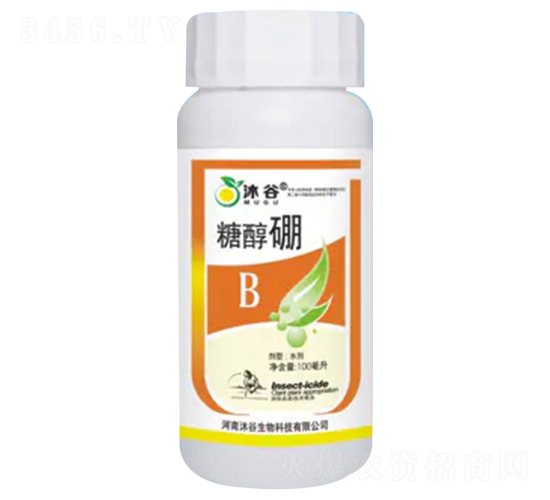 �Ǵ���-�������