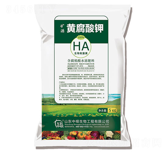 �VԴ�S�����-�и�����