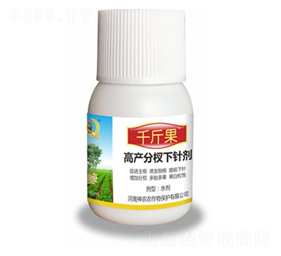 ������辄�-ǧ���-�������r