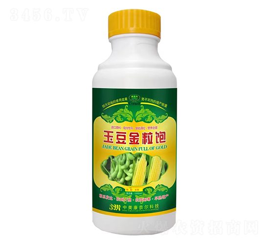 �񶹽����-�����S-���Π�