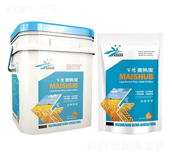 ���쌚-����-�����r�I