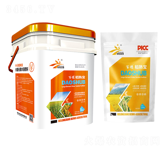 ���쌚-����-�����r�I