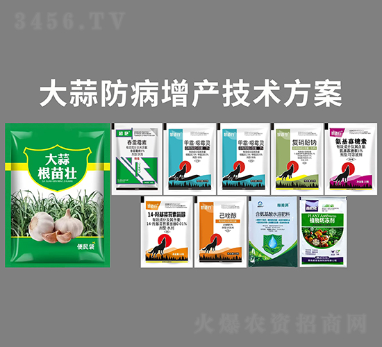 ����������a���g����-�P�