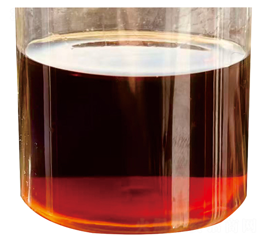 �o�}�ͺϰ�����ĸҺ-Ͷ����