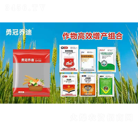 �����Ч���a�M��-�{��-�¹چ̵�