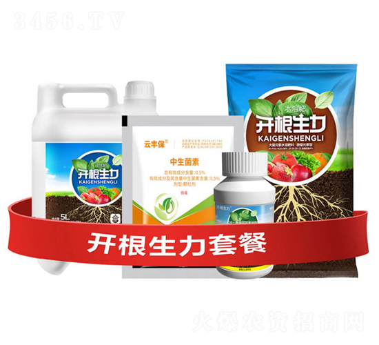 �_�������ײ�G-�ƴ�Ƽ�