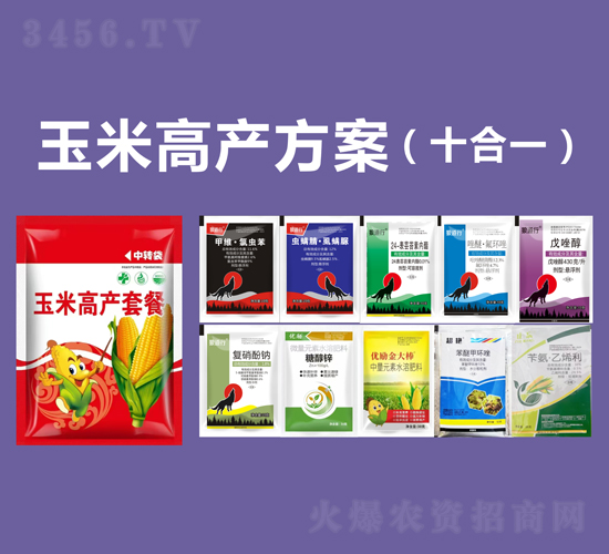 ���׸߮a������ʮ��һ��-�P�