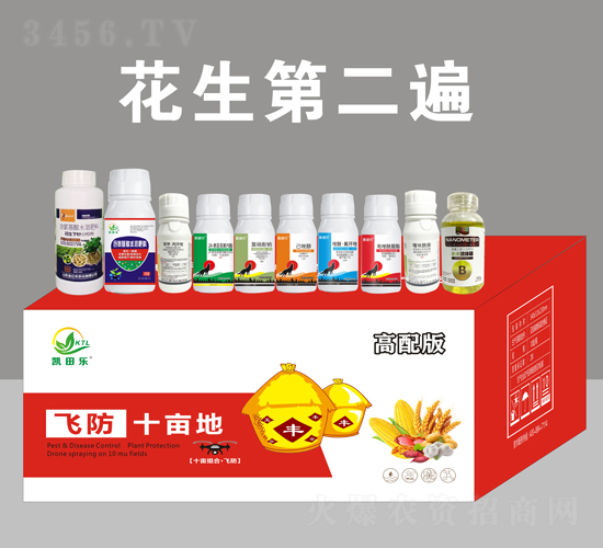 ��������ˎ������-�P�