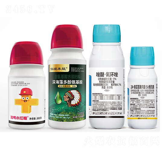 ˮ���������a����-ʮ���ײ�-��̖С�tñ