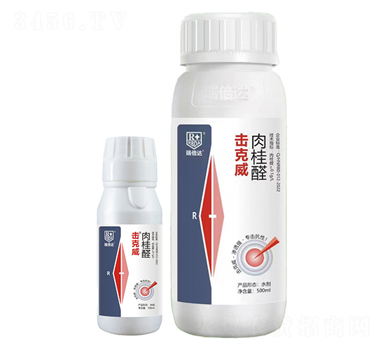 ���ȩ-������-���_