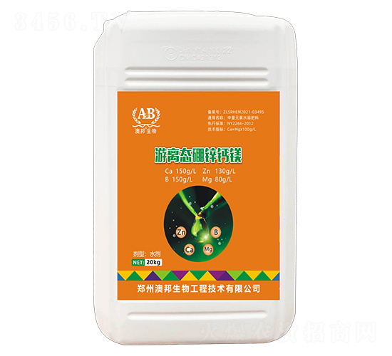 ���x�B���\�}�V-�İ�����