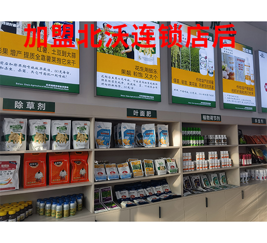 ���˱����B�i���2-�����r�I