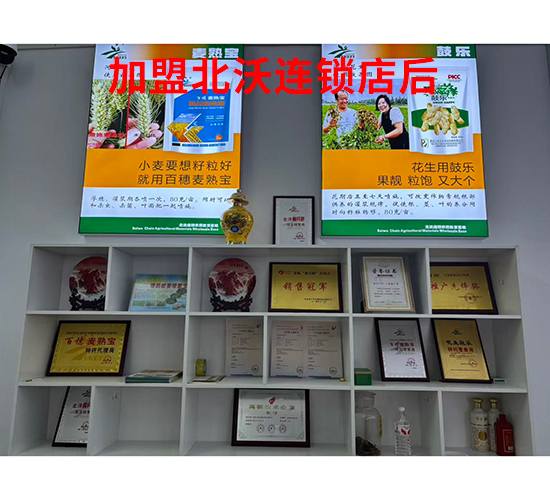 ���˱����B�i���3-�����r�I