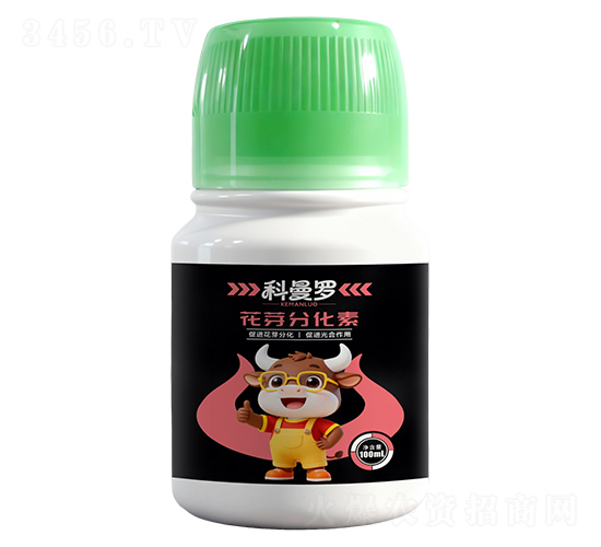 ��ѿ�ֻ���-�����_