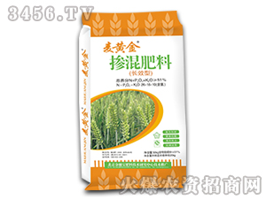 �LЧ�͓������-���S��