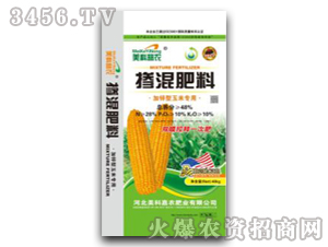 �������-���\�����׌���-���Ƽ��r