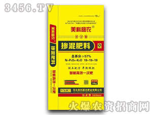 �������r�������19-19-19-���Ƽ��r