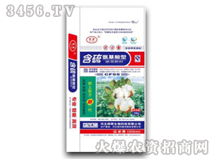 �޻����򰱻����͓������-���Ƽ��r