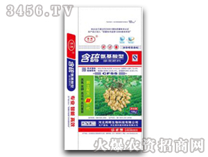 �������򰱻����͓������-���Ƽ��r