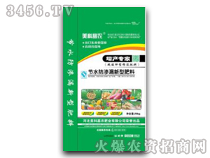 ������͓������-���Ƽ��r