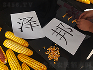 ˼����aƷ�V���Ĕz������˼����Ļ���ý���޹�˾