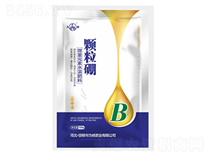 �w����-���ʘI