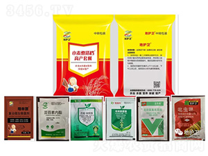 �߮a(ch��n)�ײ�-С������n��С���ι�(ji��)ǰ��-����