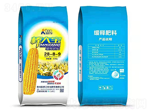 ��ጷ���28-8-9-����-�P�����h