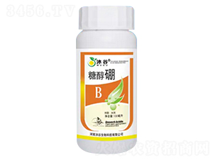 �Ǵ���-�������