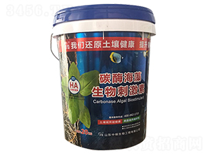 ̼ø��������̼���-�и�����