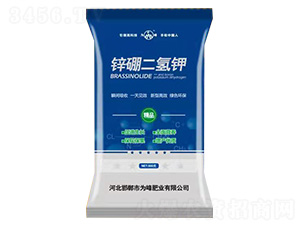 �\������-���ʘI