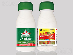 �����������a���÷ʣ�ƿ��-�Ƕ��-������