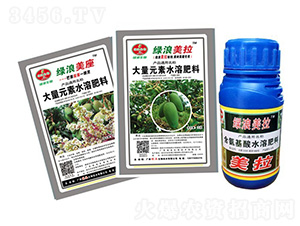 �G��â����ˎ�M��-�G������