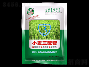 С��������-�ļ��S