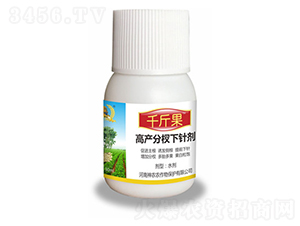 ������辄�-ǧ���-�������r