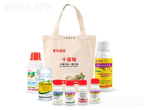 С������һ��������ʮ���أ�-�滯���h