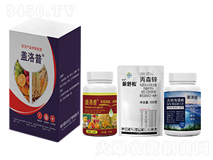 �ײͰ�-�w����-�κ��r�I