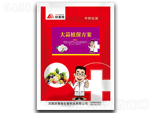 ����ֲ������-������