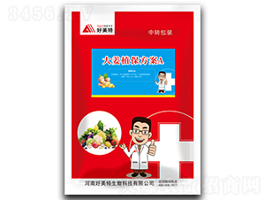 ��ֲ������A-������