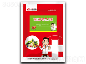 ���t��ֲ������-������