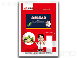 �S��ֲ������-������