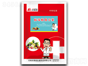 ����ֲ������-������