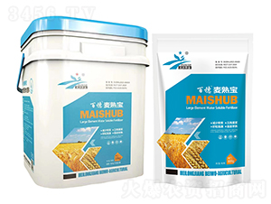 ���쌚-����-�����r�I