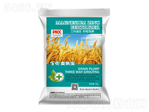 �������쌚-�����r�I