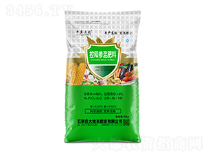 ��ጓ������28-8-10-�м���-����S