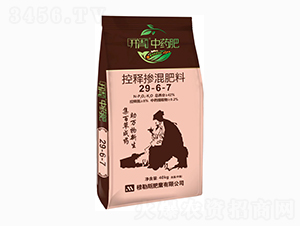 ��ጓ������29-6-7-�_����ˎ��-����˹�ʘI