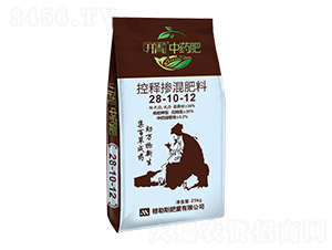 ������Ϳ�ጓ������28-10-12-�_����ˎ��-����˹�ʘI