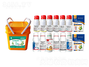 ���ױ����ײͣ�ʮ��һ��-�t�f��-�l�弾�L-���˹����r��