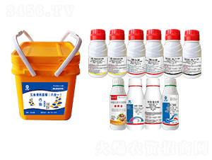 ���ױ����ײͣ�����һ��-�l(xi��ng)�弾�L(f��ng)